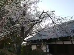 西福寺の建物その他