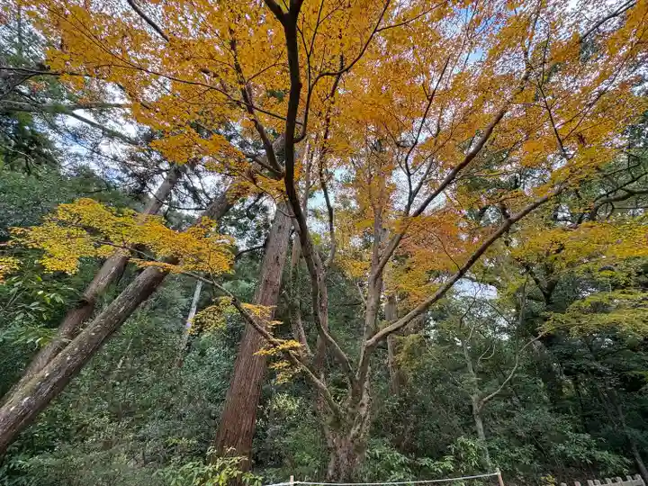 伊勢神宮外宮(豊受大神宮)(三重県)