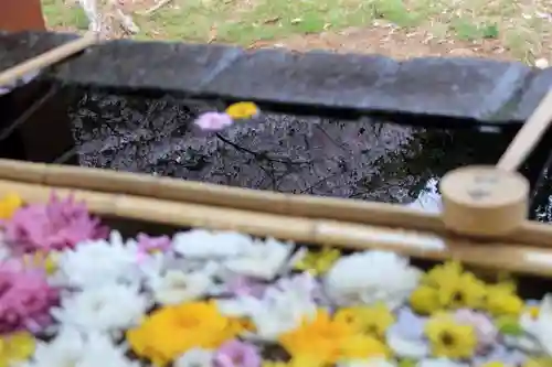 土津神社｜こどもと出世の神さまの手水