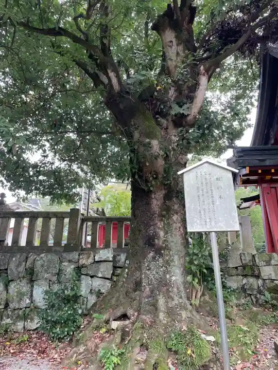 一之宮貫前神社(群馬県)