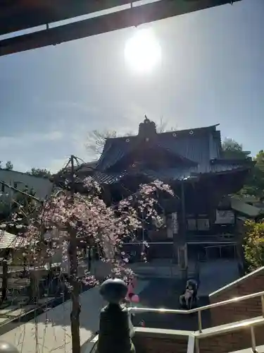 覚林寺の本殿・本堂