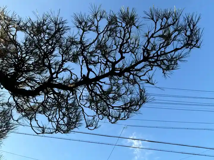 西方山極楽寺(岐阜県)