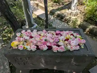 鳩ヶ谷氷川神社の{uncategorized: "未分類", other: "その他", undefined: "問題あり", building: "その他建物", grave: "お墓", sacred_gate: "鳥居", guardian: "狛犬", statue: "像", buddha: "仏像", history: "歴史", nature: "自然", garden: "庭園", animal: "動物", pagoda: "塔", temizu: "手水舎", mountain_gate: "山門・神門", sanctuary: "本殿・本堂", subordinate: "末社・摂社", art: "芸術", scenery: "景色", jizo: "地蔵", ema: "絵馬", goshuin: "御朱印", omikuji: "おみくじ", items: "授与品その他", amulet: "お守り", goshuincho: "御朱印帳", eats: "食事", festival: "お祭り", votive_dance: "神楽", shichigosan: "七五三参", wedding: "結婚式", experience: "体験その他", initially: "初詣", around: "周辺", anti_infection: "感染症対策"}