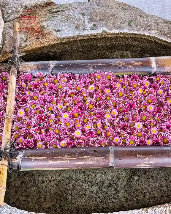 立志神社(滋賀県)