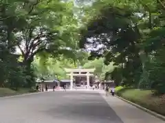 明治神宮の鳥居