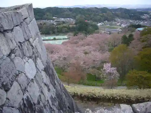 曹洞宗 永松山 龍泉寺の歴史