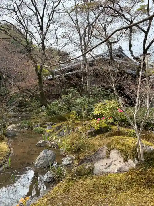 宝厳院の{uncategorized: "未分類", other: "その他", undefined: "問題あり", building: "その他建物", grave: "お墓", sacred_gate: "鳥居", guardian: "狛犬", statue: "像", buddha: "仏像", history: "歴史", nature: "自然", garden: "庭園", animal: "動物", pagoda: "塔", temizu: "手水舎", mountain_gate: "山門・神門", sanctuary: "本殿・本堂", subordinate: "末社・摂社", art: "芸術", scenery: "景色", jizo: "地蔵", ema: "絵馬", goshuin: "御朱印", omikuji: "おみくじ", items: "授与品その他", amulet: "お守り", goshuincho: "御朱印帳", eats: "食事", festival: "お祭り", votive_dance: "神楽", shichigosan: "七五三参", wedding: "結婚式", experience: "体験その他", initially: "初詣", around: "周辺", anti_infection: "感染症対策"}
