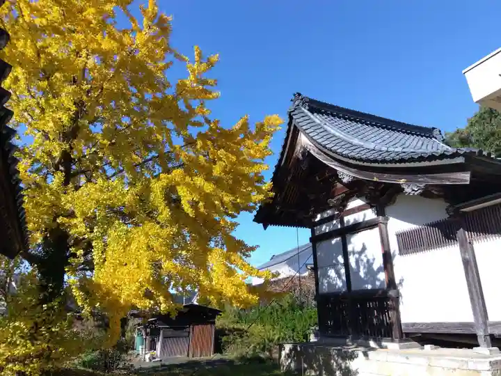 稲荷神社(福井県)