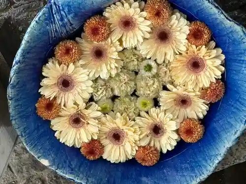 川越八幡宮(埼玉県)