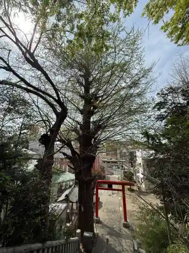 雷神社(神奈川県)