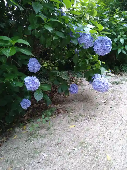 石内のお大師さん 金剛院(広島県)