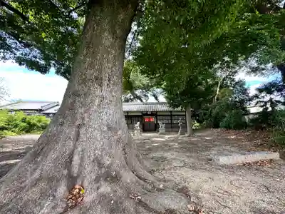 八幡神社(奈良県)