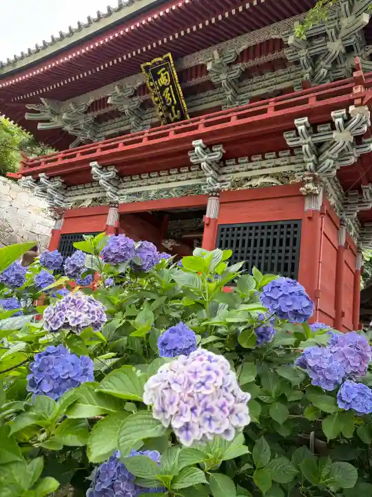 楽法寺(雨引観音)(茨城県)