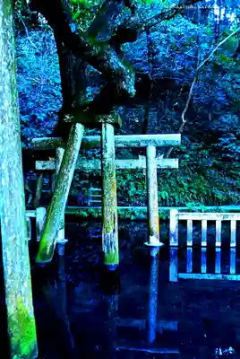 奥宮(鹿島神宮摂社)(茨城県)