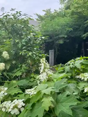 妙行寺(愛知県)