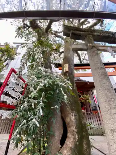 文子天満宮の自然