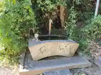 天津神社の手水舎