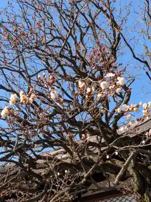福蔵院(東京都)
