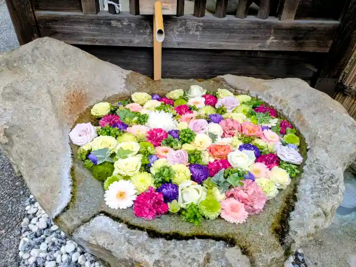 最明寺の{uncategorized: "未分類", other: "その他", undefined: "問題あり", building: "その他建物", grave: "お墓", sacred_gate: "鳥居", guardian: "狛犬", statue: "像", buddha: "仏像", history: "歴史", nature: "自然", garden: "庭園", animal: "動物", pagoda: "塔", temizu: "手水舎", mountain_gate: "山門・神門", sanctuary: "本殿・本堂", subordinate: "末社・摂社", art: "芸術", scenery: "景色", jizo: "地蔵", ema: "絵馬", goshuin: "御朱印", omikuji: "おみくじ", items: "授与品その他", amulet: "お守り", goshuincho: "御朱印帳", eats: "食事", festival: "お祭り", votive_dance: "神楽", shichigosan: "七五三参", wedding: "結婚式", experience: "体験その他", initially: "初詣", around: "周辺", anti_infection: "感染症対策"}