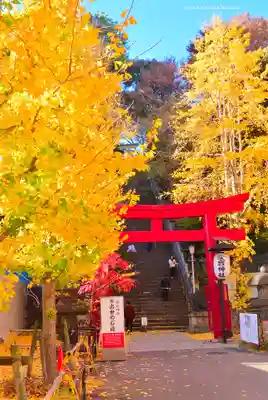 愛宕神社(東京都)