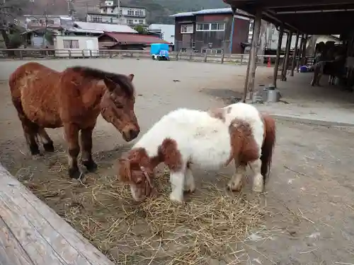 小室浅間神社(山梨県)