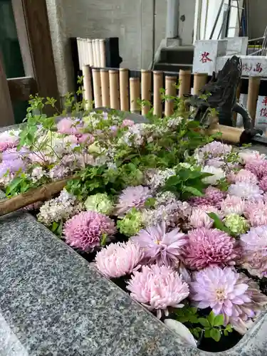 高円寺氷川神社の手水