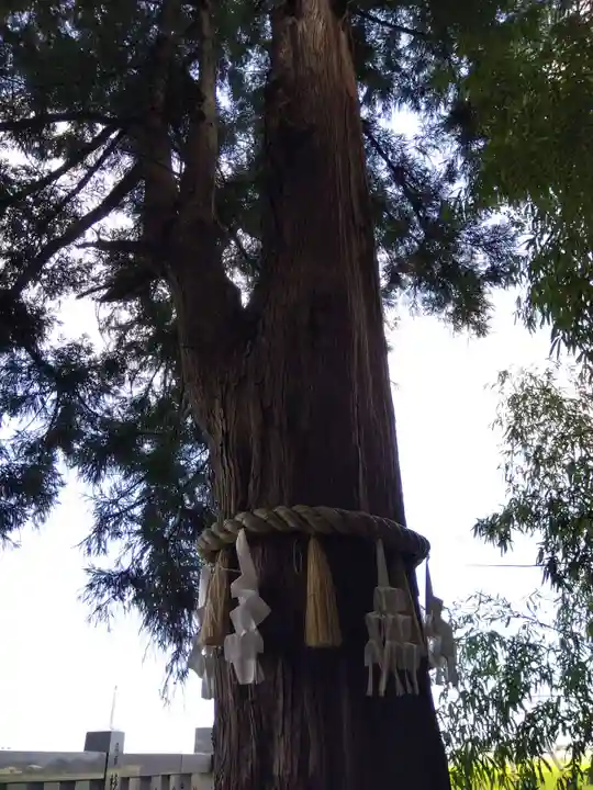 杉原神社(富山県)