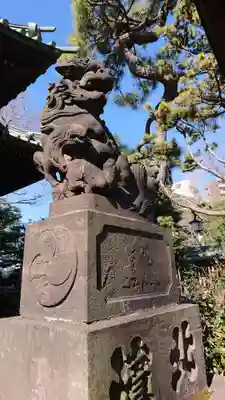 荏原神社の狛犬