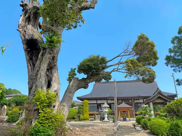 和光院(田島の血不動尊)のその他建物