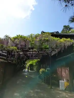 長岡天満宮(京都府)