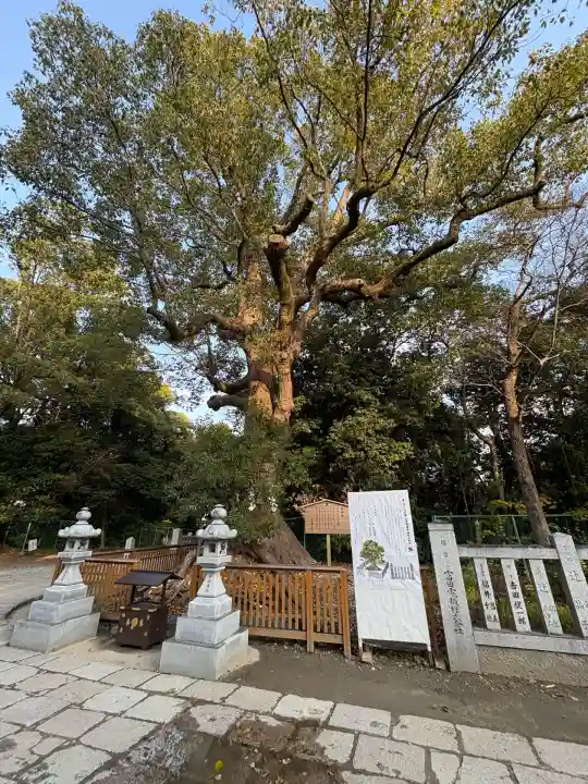 和泉國一之宮 大鳥大社(大阪府)