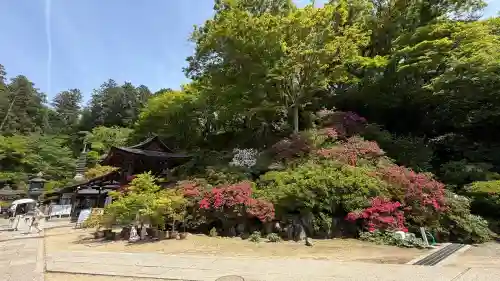 岡寺（龍蓋寺）の{uncategorized: "未分類", other: "その他", undefined: "問題あり", building: "その他建物", grave: "お墓", sacred_gate: "鳥居", guardian: "狛犬", statue: "像", buddha: "仏像", history: "歴史", nature: "自然", garden: "庭園", animal: "動物", pagoda: "塔", temizu: "手水舎", mountain_gate: "山門・神門", sanctuary: "本殿・本堂", subordinate: "末社・摂社", art: "芸術", scenery: "景色", jizo: "地蔵", ema: "絵馬", goshuin: "御朱印", omikuji: "おみくじ", items: "授与品その他", amulet: "お守り", goshuincho: "御朱印帳", eats: "食事", festival: "お祭り", votive_dance: "神楽", shichigosan: "七五三参", wedding: "結婚式", experience: "体験その他", initially: "初詣", around: "周辺", anti_infection: "感染症対策"}