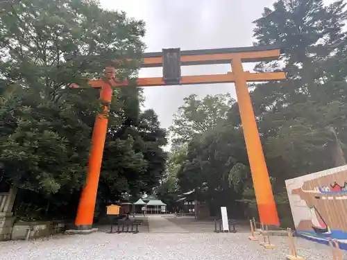 川越氷川神社の鳥居