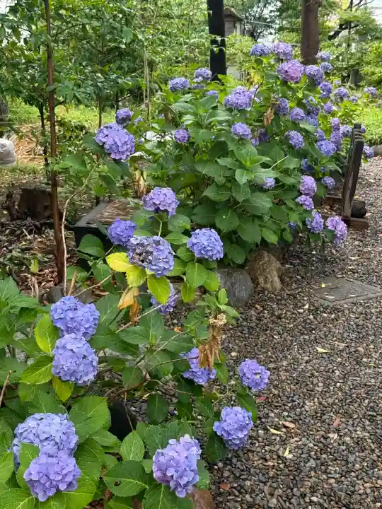 菊田神社(千葉県)