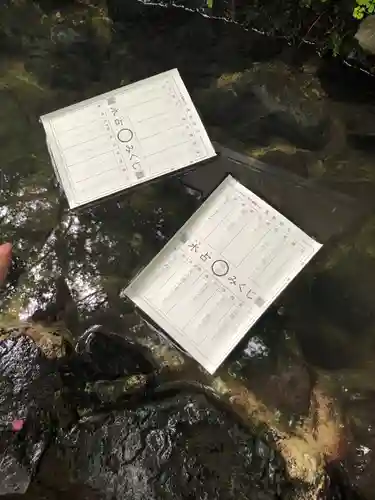 貴船神社のおみくじ