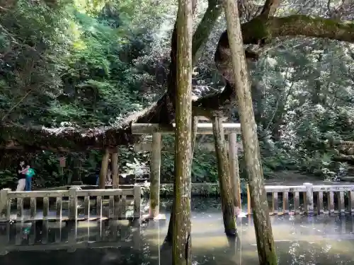 鹿島神宮(茨城県)