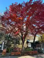 小室浅間神社(山梨県)