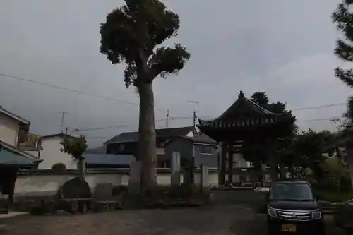 吉祥寺(愛媛県)