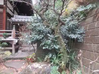 専光寺(東京都)