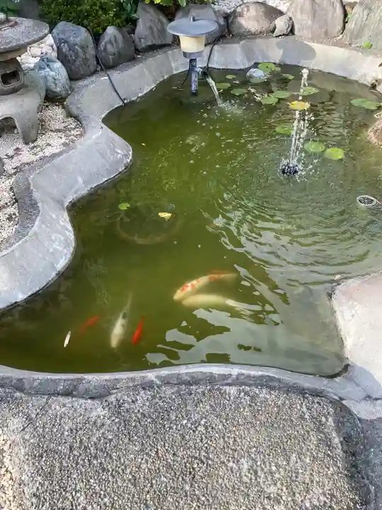 放生寺(東京都)