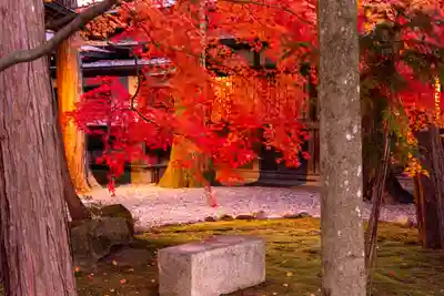 諏訪大社下社秋宮(長野県)