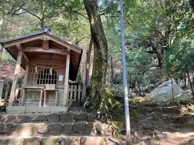 白鬚神社の本殿・本堂