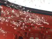 賀茂御祖神社(下鴨神社)の自然
