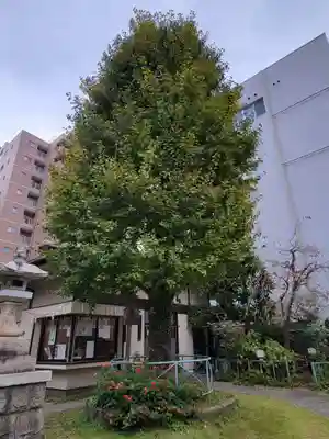 千束稲荷神社のその他建物