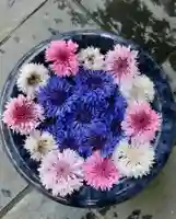 立志神社(滋賀県)