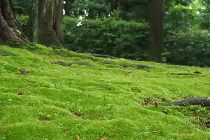 唐招提寺(奈良県)