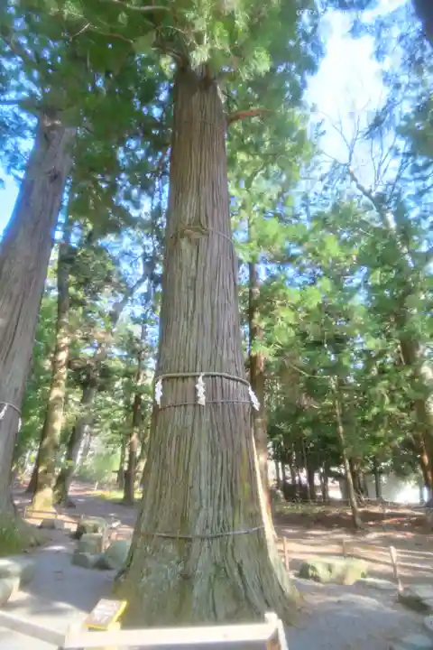 河口浅間神社(山梨県)