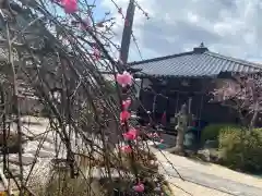 七寳寺(兵庫県)