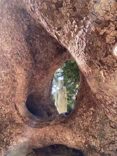 笠森寺の{uncategorized: "未分類", other: "その他", undefined: "問題あり", building: "その他建物", grave: "お墓", sacred_gate: "鳥居", guardian: "狛犬", statue: "像", buddha: "仏像", history: "歴史", nature: "自然", garden: "庭園", animal: "動物", pagoda: "塔", temizu: "手水舎", mountain_gate: "山門・神門", sanctuary: "本殿・本堂", subordinate: "末社・摂社", art: "芸術", scenery: "景色", jizo: "地蔵", ema: "絵馬", goshuin: "御朱印", omikuji: "おみくじ", items: "授与品その他", amulet: "お守り", goshuincho: "御朱印帳", eats: "食事", festival: "お祭り", votive_dance: "神楽", shichigosan: "七五三参", wedding: "結婚式", experience: "体験その他", initially: "初詣", around: "周辺", anti_infection: "感染症対策"}