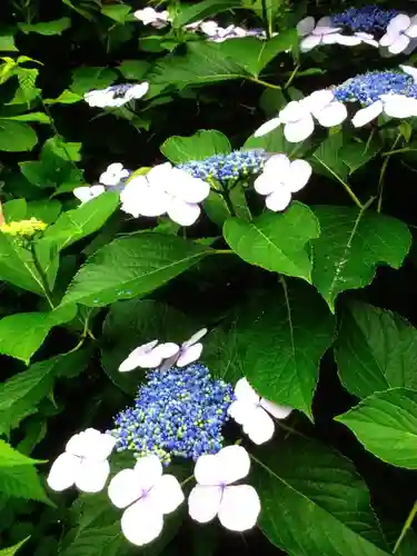 田端神社(東京都)